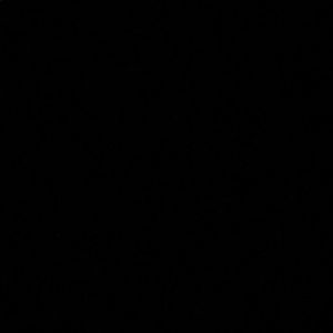 Meet your Posher, Dolores